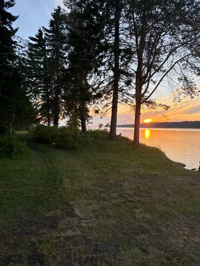 The image depicts a serene natural landscape at sunset. A calm body of water, likely a lake or a wide river, dominates the right side of the frame, reflecting the warm hues of the setting sun. The sky above is a canvas of orange, yellow, and pale blue, streaked with wispy clouds.

Along the bank of the water, a dense line of trees stands tall, their dark silhouettes contrasting with the bright sky. Some of these trees are evergreen, with their characteristic conical shapes, while others appear to be deciduous, with more intricate branching patterns. The foreground is a gentle grassy slope, with a worn dirt path winding through it, suggesting it's a frequented area. The grass is a mix of green and dry blades, indicating a late summer or early autumn setting. In the distance, on the far bank of the water, a line of dark forest stretches across the horizon.

The scene is devoid of any immediate human presence, but the presence of a path and the general ambiance suggest it is a park or a recreational area. No specific landmarks in the city of Grigorovskaya, Russia are identifiable from the image. The overall impression is one of tranquility and natural beauty, bathed in the soft, golden light of dusk.