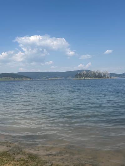 The image depicts a scenic view of a large body of water, likely a lake or reservoir, under a clear blue sky dotted with fluffy white clouds. In the foreground, the water is shallow and clear, revealing the sandy bottom and sparse vegetation. The middle ground is dominated by the expansive blue water, with gentle ripples on its surface. In the distance, a densely wooded island, or peninsula, with a cluster of trees stands out. Beyond that, rolling hills covered in green vegetation form the background, meeting the horizon under the vast sky. The scene appears tranquil and natural, suggesting an outdoor recreational area. The provided crops focus on the sky, the water's edge, and the distant island, highlighting the natural elements of the landscape. The location is identified as Tsigov Chark, Bulgaria, a place known for its natural beauty and outdoor activities, particularly related to the Batak Reservoir, which this scene closely resembles.
