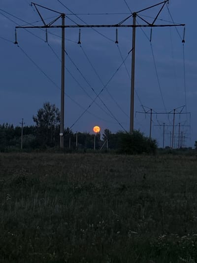 A full, orange moon is visible low in the sky, slightly right of center, appearing to rise behind a dense line of trees and bushes. In the foreground, a grassy field stretches across the bottom half of the image. Two large, concrete power line pylons dominate the scene, one closer and to the left of the moon, the other further away and to the right. Multiple power lines are strung between these pylons, crisscrossing the dark blue evening sky. Behind the trees, a series of smaller power line structures are visible, receding into the distance. The environment appears to be rural or semi-rural, with the presence of trees, fields, and power infrastructure suggesting a location on the outskirts of a settlement. The overall mood is quiet and somewhat somber due to the low light conditions and the stark industrial elements juxtaposed with the natural landscape. The location is specified as Belozerki, Russia.