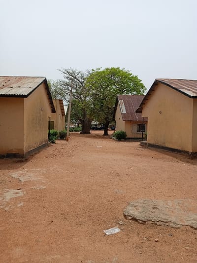 The image shows a view of a dirt road in Rumde Waziri, Nigeria, taken from between two buildings with tan-colored walls, a brown roof, and black trim. The road is lined with green bushes and a large tree to the left. The tree is in the background, just behind the left building. The buildings have windows and are in good condition. In the background, behind the tree, are two cars parked. There are no people in the image. There is one plastic bag on the ground in the foreground. The sky is light gray and the day is overcast. The image is likely taken during the dry season. The ground is covered in red sand.