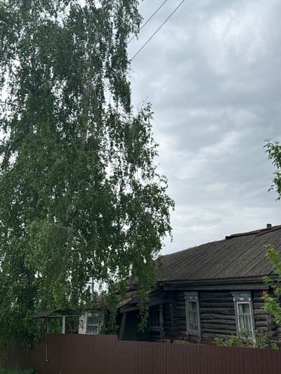 The image shows a view of a wooden house in Ленино, Russia, taken on an overcast day. A large tree with dense green foliage partially obscures the view of the house. The house appears to be old, with a dark, weathered wood exterior and several small, framed windows. A brown metal fence is visible to the right of the house. Power lines run across the top left portion of the frame, partially obscured by the tree's canopy. The sky is filled with gray clouds, indicating a cloudy weather condition.