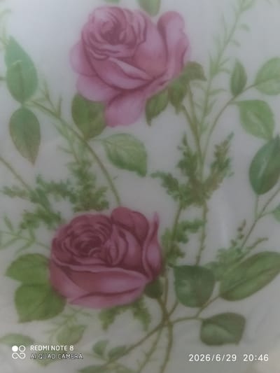 The image shows a close-up of a decorative item, likely porcelain, featuring a floral pattern of pink and burgundy roses with green leaves and stems. The painting style is soft and somewhat impressionistic. In the bottom left corner, there is text that reads "REDMI NOTE 8 AI QUAD CAMERA". In the bottom right corner, there is a timestamp "2026/6/29 20:46". The background is a pale, off-white color, indicating the item itself. There is no discernible urban environment or specific location in Baýramaly, Turkmenistan, visible in the image.