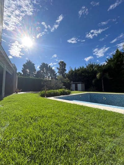 This image depicts a sunny outdoor residential scene in Hudson, Argentina. The foreground features a well-maintained green lawn, transitioning into a blue mosaic-tiled swimming pool with light-colored coping in the midground, seen from an elevated perspective. The pool appears empty or partially drained, revealing internal steps and two circular skimmer openings. To the left, a section of a house or building is visible, characterized by a dark exterior wall and a light-colored covered patio structure with a visible gutter system. A potted plant is situated near the house wall. In the background, a dense line of tall evergreen trees forms a natural boundary, with one prominent palm tree standing near the right edge of the pool. A small, corrugated metal shed or utility structure is positioned near the tree line, with a metal ladder leaning against its left side. The sky is clear blue with scattered white clouds, and the sun is prominently positioned in the upper left quadrant, creating a bright starburst lens flare effect. No individuals are present, and no actions are occurring.