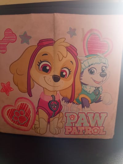 A light pink fabric surface, possibly a bag or bin, is decorated with cartoon images of dogs from the Paw Patrol television series. On the left is a dog with blonde fur, a pink headband, and a pink outfit. To the right is a white dog with blue eyes, wearing a teal and green outfit with a white fluffy collar and hat. Both dogs are smiling. Scattered around the dogs are playful graphics including a pink bone, a teal star, and two pink hearts, one with a paw print inside. The bottom of the fabric features the text "PAW PATROL" in large, stylized letters. The lighting suggests the item is indoors, with a bright light source illuminating the top right of the image. There is no indication of location in Czersk, Poland.