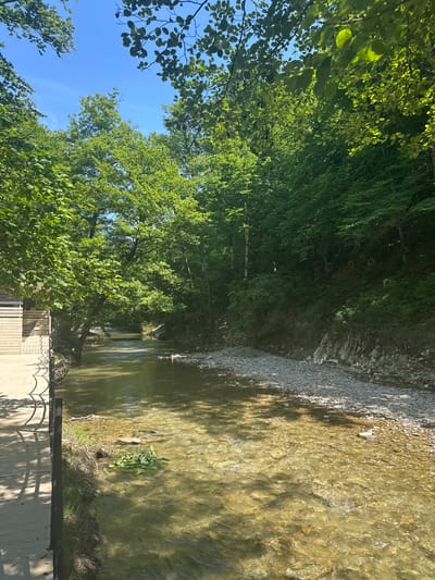 The image shows a natural scene with a clear, shallow stream flowing through a wooded area. The water is clear, with visible pebbles on the stream bed, and reflects the sunlight, creating dappled patterns on the surface. Dense green foliage from trees lines the left bank of the stream, with some branches reaching out over the water. The right bank is composed of rocky, gravelly terrain. In the foreground, a wooden deck or boardwalk with a railing is visible, suggesting a man-made path or viewing area within the natural setting. The overall impression is one of a peaceful, sun-drenched day in a verdant, natural environment. The lighting suggests it is daytime, likely late morning or early afternoon, with bright sunlight casting shadows. There is no visible text.