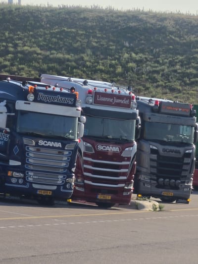 This is a photograph taken from a high angle, looking down on a line of parked Scania semi-trucks. The trucks are parked on an asphalt surface with yellow and white line markings, suggesting a port or industrial area. The background consists of lush green foliage, possibly bushes or trees, stretching towards a bright, slightly hazy sky.

The most prominent trucks are dark blue and red, with the "SCANIA" logo visible on their grilles and sides. One dark blue truck has "Poppelaars" and "Sabine" written on its cabin, along with "R620". Another dark grey truck, partially visible behind the first two, has "Lisanne Jumelet" and "INTERCOOLER" written on it. A license plate reading "69-BZV-6" is visible on this truck. A red truck further back has "D. Veluwerikamp" written on its top. Other visible license plates include "95-BFK-4" and "17-BRZ-7". The sun appears to be bright, casting some shadows, suggesting it is daytime. The overall scene is one of commercial transport vehicles waiting in an organized manner.