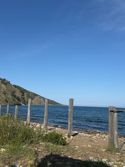 The image depicts a scenic view of Lake Baikal in Kuyada, Russia. In the foreground, a rough, rocky shoreline is lined with weathered wooden posts, some standing upright and others partially submerged or broken. Lush green vegetation grows in patches along the shore, interspersed with scattered stones and debris. The clear blue water of the lake stretches out to the horizon, reflecting the bright sky. Across the lake, a rugged, tree-covered mountain range rises steeply, its rocky slopes dotted with coniferous trees. The sky above is a vast expanse of uninterrupted, brilliant blue.