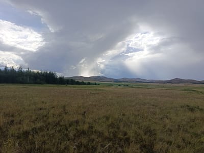 The image depicts a vast, dry, grassy field under a dramatic sky with heavy, dark clouds. Sunlight breaks through the clouds in distinct beams, illuminating parts of the distant, rolling hills and causing rain or mist to be visible in the middle ground. A line of dark green trees forms a border along the far left of the field, with a single person in a pink shirt visible near the edge of the trees. The terrain appears flat in the foreground, transitioning to gently sloping hills in the distance. The overall scene suggests a stormy or post-storm weather event in a rural or open landscape. The location is specified as the city of Imeni Tel'mana Nomer Tretiy, Kazakhstan.