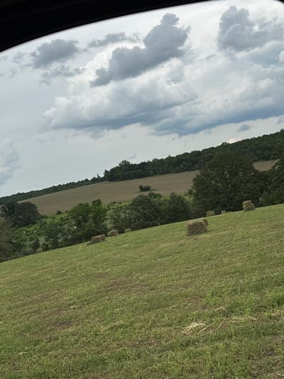The scene shows a field in Topchii, Bulgaria under a cloudy sky. Bales of hay are scattered across the field. A line of trees separates the field from another plot of land. Part of a car interior is visible.