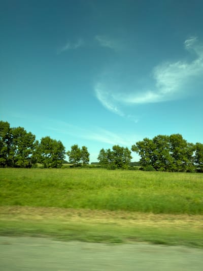This is a vertical, eye-level, medium shot of a rural landscape under a clear sky with a few wispy clouds. The sky is a bright, pale blue, with a hint of cyan. A single, curved cloud formation is visible in the upper right quadrant. Below the sky, a row of lush green trees runs horizontally across the middle of the frame, forming a dense treeline. The trees are varied in size and shape, with full, rounded canopies. In front of the treeline is a vast, vibrant green field, which appears to be a meadow or pasture, dotted with occasional yellow wildflowers. The foreground consists of a blurred strip of brown and green, suggesting motion and that the photograph was taken from a moving vehicle, likely a car. There are power lines visible running horizontally above the treeline. The scene depicts a serene, natural environment, typical of the countryside. The location is identified as Bezmenovo, Russia.