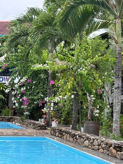 The image depicts an outdoor swimming pool area adjacent to lush vegetation and palm trees. The pool's water is a vibrant blue, and the surrounding area features a walkway constructed with stones and small pebbles. A stone wall borders the pool. Several palm trees with textured trunks and long, feathery fronds are visible, interspersed with dense greenery and flowering plants, including bougainvillea with white and pink blossoms. A building with a red roof and some white structures are partially visible in the background, suggesting a resort or residential setting. The overall scene conveys a tropical ambiance. The location is identified as Bố Trạch Commune, Vietnam.