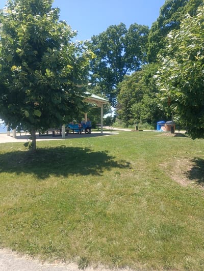 This media file depicts an outdoor park scene on a sunny day, likely during daytime given the bright sunlight and shadows. The setting appears to be a picnic area with a covered pavilion.

In the foreground, a lush green lawn is visible, with dappled shadows cast by nearby trees. A paved path curves through the grass. In the middle ground, under the pavilion, a picnic table is set up. Two individuals are seated at the table, engaged in conversation or activity. One person is wearing a blue shirt. A blue tarp is spread across the table. There are also some benches visible under the pavilion.

Further in the background, two trash receptacles, one blue and one brown, are situated near the edge of the paved area. Behind the pavilion and trash cans, a dense line of mature trees forms the backdrop, suggesting a natural park environment. The sky is a clear, vibrant blue, indicative of fair weather. The overall atmosphere of the scene is peaceful and relaxed, suggesting a leisurely outing. The presence of a picnic pavilion and trash cans points to a public park or recreational area. The location context suggests this is an Oakville, Canada park. No visible text is present in the image.