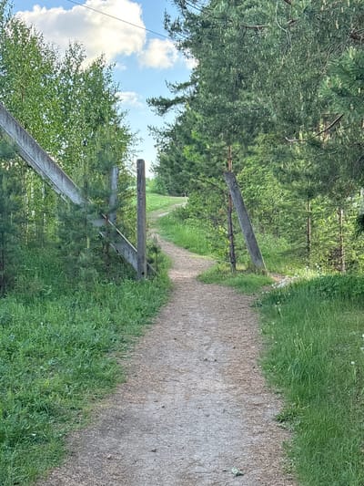 The image presents a rural dirt path winding through a lush, green forest with overhead trees. The path is bordered by tall grass. Two tilted wooden gateposts stand on either side of the path, partially overgrown with vegetation. The sky with clouds is visible through the canopy of the trees. Location in the city of Pepelyshi, Russia cannot be determined.