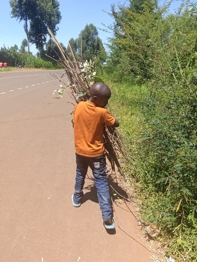 The image depicts a young child, seen from behind, walking along a reddish-brown paved road in Kaplelwo, Kenya, on a bright, sunny day. The child, likely a boy, is wearing an orange t-shirt, blue jeans with some fading on the rear pockets, and light blue shoes or sandals. He carries a large, unwieldy bundle of sticks, branches, and green leafy vegetation on his back, suggesting he is transporting firewood or fodder.
To the child's right, the roadside is densely overgrown with various green bushes, shrubs, and smaller plants, indicating a lush natural environment. Strong shadows are cast by the child, the bundle, and the roadside vegetation, confirming the bright daylight conditions. Further to the right, a line of tall, slender trees extends into the background.
To the left of the child, the paved road features a faint white dashed line in the distance. Beyond the road, the landscape includes more trees and an open area, possibly fields. In the far distance on the left, some indistinct human figures and red objects are barely visible. The sky above is clear and blue, contributing to the sunny atmosphere. The image captures a scene of daily life and labor in a rural or semi-rural setting. There is no visible text in the image.