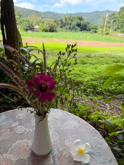 In Ban Huai Takhrai, Thailand, a white vase containing a bouquet of dried flowers and a single vibrant fuchsia flower sits on a round table covered with a lace tablecloth. The table is positioned outdoors, with lush green foliage and a picturesque landscape of rice paddies and rolling hills visible in the background. A white Plumeria flower rests on the tablecloth to the right of the vase. The scene evokes a sense of tranquility and natural beauty.