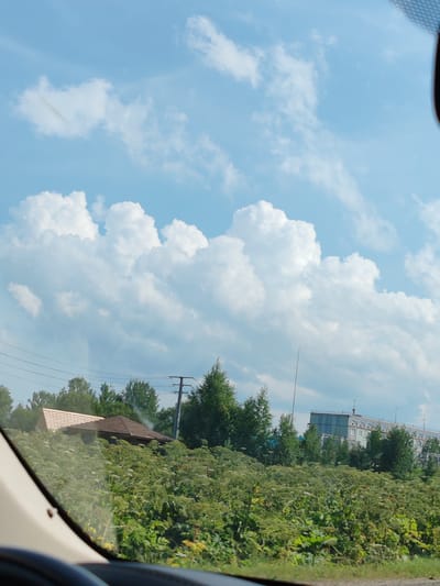 The image depicts a scene from a moving vehicle, looking out through the windshield. The sky is a bright blue with large, fluffy white clouds. In the foreground, lush green vegetation, likely hogweed, dominates the landscape. Partially obscured by the vegetation are the roofs of buildings. To the left, a brown-roofed structure with visible wooden rafters is visible. Further to the right, a large, modern building with a light blue facade and arched decorative elements stands. Telephone poles and power lines are visible against the sky, indicating the presence of infrastructure. The environment appears to be rural or suburban, consistent with the outskirts of a settlement like Pazga, Russia. There are no people visible in the frame.