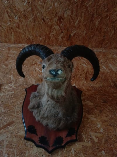 A taxidermied head of a ram or goat, characterized by brownish-tan fur, large dark ridged horns curving upwards and outwards, and a prominent goatee, is mounted centrally on a reddish-brown, shield-shaped wooden plaque with a dark border and stylized dark leaf decorations along its bottom edge. The animal's facial features include a dark nose and a distinct, almost grinning mouth with visible teeth-like structures. The plaque is affixed to a wall constructed from oriented strand board (OSB) panels, which display a light brown, chipped wood texture. The scene is located in Gorka, Russia.