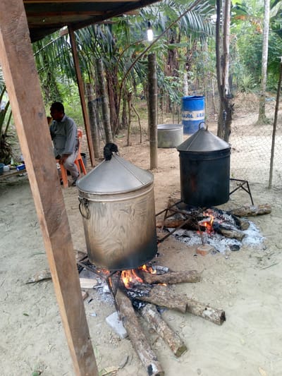 The image depicts an outdoor cooking scene, likely in a rural or semi-rural setting, possibly in Meunyelhee, Indonesia, given the presence of palm trees and tropical foliage. In the foreground, a large, conical metal pot sits over a crackling fire, supported by a rudimentary metal stand. Logs are arranged around the fire, fueling the flames. To the left of this pot, another similar, larger metal pot is visible, also with a conical lid. A man, dressed in a light-colored long-sleeved shirt and pants, is seated on an orange plastic chair to the left of the frame, appearing to be eating or holding something to his mouth. He is positioned under a rustic wooden shelter. In the background, a blue barrel with white lettering is visible, along with more lush vegetation and trees. A wire fence can be seen in the middle ground, separating the immediate area from the denser foliage beyond. The ground is sandy or earthy, with scattered leaves and debris. The overall impression is one of a practical, outdoor cooking setup in a tropical environment.