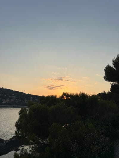 A coastal scene shows the sun's golden light peeking through trees at sunset. Silhouetted treetops frame the upper portion, contrasting with the open sky transitioning from blue to orange hues. Below, a hillside descends towards the water, hints of structures suggesting a built environment. The calm sea reflects the fading sunlight.
