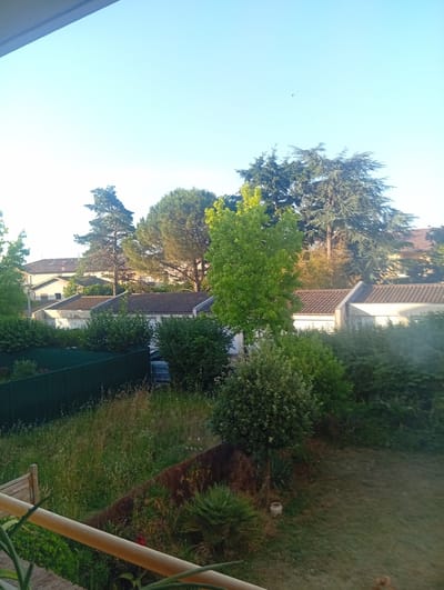 The image shows a residential area in Rillieux-la-Pape, France, with a view of houses, trees, and vegetation under a clear sky. The foreground features a wooden railing and some green foliage, suggesting the vantage point is from a balcony or window. Beyond this, a green fence encloses a yard filled with tall grass and various plants. In the middle ground, several modern residential buildings with tiled roofs are visible, interspersed with trees of varying heights and types, including coniferous and deciduous trees. A bright green deciduous tree stands prominently in the center. The background reveals more of the sky and distant trees. There are no people or animals visible in the scene, and no actions are taking place. The overall environment appears to be a suburban residential setting.