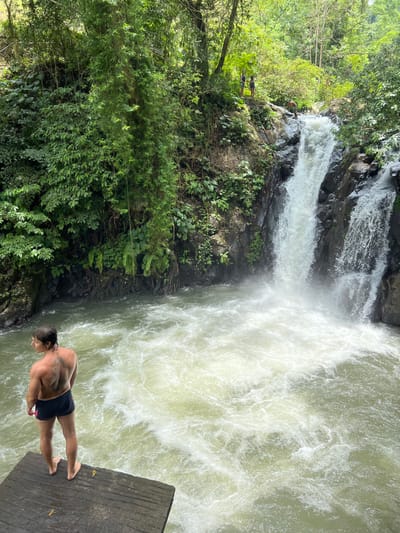 The scene is set in Ambengan, Indonesia, depicting a natural waterfall and swimming area within a dense tropical forest. In the foreground, a shirtless male with dark, wet hair, wearing black swimming trunks with a pink accent, stands barefoot on a rough wooden platform extending over the water. He has a prominent dark tattoo on his upper back and is positioned with his back mostly to the viewer, looking towards the turbulent water below the waterfall.
A powerful multi-stream waterfall cascades down dark, rocky formations into a frothy, light-green pool. The rock faces flanking the waterfall are heavily covered in lush green vegetation, including trees, ferns, and vines, with some visible tree roots clinging to the rocks.
At the upper edge of the waterfall, near where the water begins its descent, one individual is partially visible, appearing to be in or near the water. Further back and slightly to the left, two additional individuals are standing on a rocky ledge, observing the activity. One wears a blue top and the other a white top. The entire environment is characterized by vibrant green foliage under what appears to be bright daylight.