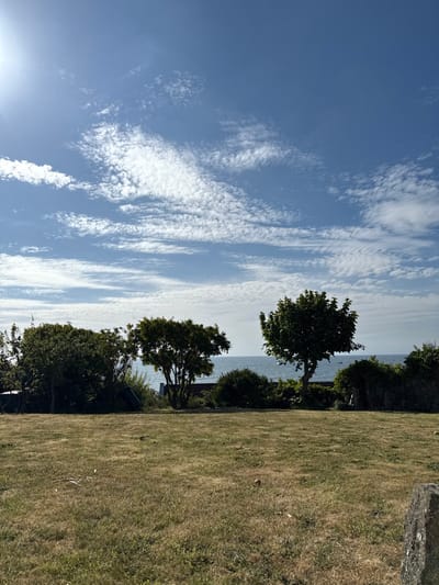 A view from a grassy lawn overlooking the North Sea, taken from a garden in the town of Crail, Fife, Scotland. The lawn is overgrown and dry. The sky is blue with scattered white clouds. Three trees and bushes are visible in the foreground. The sea can be seen in the distance.