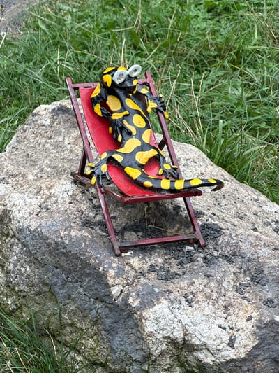 An outdoor, eye-level, full shot shows a black and yellow salamander statue wearing white goggles, resting on a red miniature deck chair. The deck chair is placed on a large, grey, rough-textured rock. Behind the rock, green grass and foliage are visible under a cloudy sky. The statue is positioned slightly off-center to the right. There are no people in the image. The overall scene conveys a sense of humorous repose. The provided context does not offer specific location information within Świeradów-Zdrój, Poland.