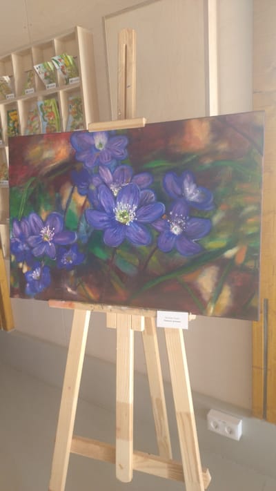 In the city of Tērvete, Latvia, an oil painting of purple flowers is displayed on a wooden easel. The artwork features several clusters of blue and purple flowers with white centers, set against a dark, abstract background with hints of green and brown. A small white label is attached to the bottom right of the easel, indicating the artwork's title and artist. In the background, shelves filled with colorful items, possibly books or postcards, are visible. The overall setting appears to be an indoor exhibition space with wooden walls and neutral-colored flooring.