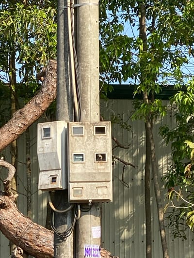 The image depicts a utility pole situated in Đak Đoa, Vietnam, under clear daylight conditions. A single gray concrete utility pole stands centrally, featuring bundled electrical wires secured vertically along its length. Two weathered, light-colored electrical meter boxes are affixed to the pole; the left box is narrower and slightly recessed compared to the wider box on the right. Each box contains multiple rectangular or square transparent displays or openings. A small, dark-feathered bird is visible with its head protruding from an opening in the lower-right section of the wider meter box. Another similarly feathered bird is perched atop the upper edge of the narrower left meter box. Exposed electrical conduits and wires connect to the base of both meter boxes. A segment of a white sticker with blue numerals, "0901323", is partially visible on the lower section of the pole. The foreground on the left features a thick, gnarled tree branch with textured bark, extending diagonally upwards towards the pole. In the background, verdant green foliage from multiple trees is present, partially obscuring a light-colored corrugated metal wall or fence with horizontal ridges. A clear blue sky is visible through the tree canopy.