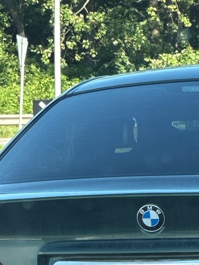 In an outdoor scene, the rear view of a dark-colored BMW vehicle is depicted. The car's rear windshield is visible, tinted and reflecting the surrounding environment, which includes lush green trees and foliage. A white signpost is partially visible to the left of the vehicle. The BMW logo, a circular emblem with blue and white quadrants and the letters "BMW" around it, is prominently displayed on the car's trunk. The lighting suggests it is daytime, with sunlight illuminating the scene. The image appears to be taken from another vehicle, indicated by the perspective and the partial view. The location is specified as Shatava, Ukraine.