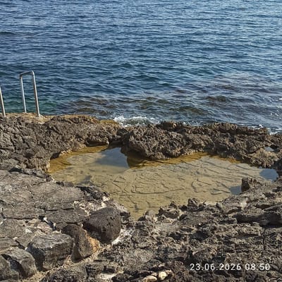 The image depicts a natural tidal pool formed within rough, dark volcanic rock formations along the coastline. The pool is filled with clear, shallow water, revealing the sandy and rocky bottom beneath. The sea, a deep blue, stretches into the background, with gentle waves lapping at the shore. On the left side of the frame, two metal railings of a staircase emerge from the rocks, suggesting a point of access to the water. The overall scene is natural and serene, likely located in a coastal area. A timestamp in the bottom right corner reads "23.06.2026 08:50".
