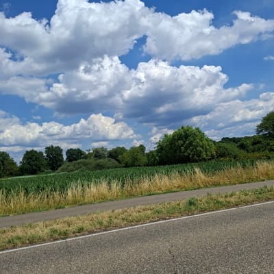 The image displays a landscape with a clear blue sky filled with fluffy white clouds. To the right of the sky is a line of lush green trees and tall dry grass, suggesting a rural or park-like setting. A paved road runs alongside the grass and trees, with a narrow strip of grass and dry vegetation bordering it. The road appears to be asphalt, with a white line marking its edge. The scene is likely captured during the daytime, given the bright sky and visible shadows. There is no visible text in the image. The overall impression is one of a serene, natural environment.