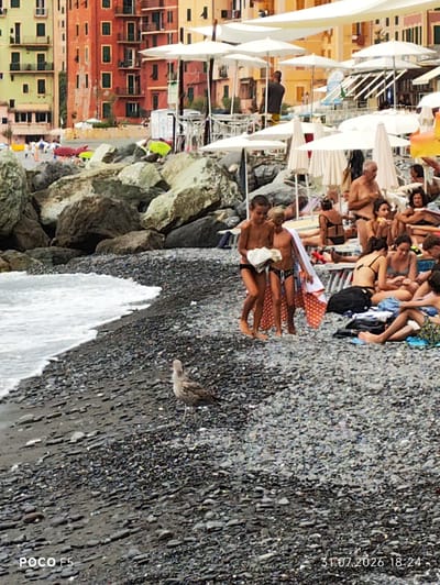 The image depicts a pebbly beach in Camogli, Italy, with the Ligurian Sea visible on the left. Several large rocks are scattered across the beach, and many white umbrellas provide shade for beachgoers. Buildings characteristic of Camogli's colorful architecture line the background. In the foreground, two young boys, one holding a white towel and both wearing dark swim briefs, walk towards the viewer. A seagull stands on the pebbles near the water's edge. In the middle ground and background, numerous adults and some children are seated or lying on beach chairs and towels, engaged in various leisurely activities. The overall atmosphere is one of a sunny, crowded beach day. The bottom left corner shows "POCO F5" and the bottom right corner shows "31.07.2026 18:24".
