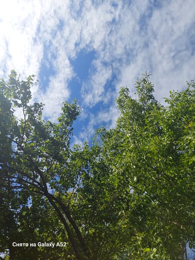 The image depicts a low-angle view of green foliage from trees against a bright blue sky dotted with wispy white clouds. The sunlight filters through the leaves, creating a dappled effect. In the lower left corner of the image, a watermark reads "Снято на Galaxy A52," which translates to "Shot on Galaxy A52." There are no people or specific landmarks visible to indicate a location within Frunză, Moldova.