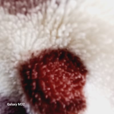 The image is an extreme close-up of a textured surface, likely a plush fabric, with a dark red, irregular splotch in the center and a lighter, fuzzy material surrounding it. The texture appears soft and fluffy, with small, light-colored highlights scattered across the surface, suggesting it might be illuminated. In the bottom left corner of the image, the text "Galaxy M32" is visible in white, indicating this is a photograph taken with a Samsung Galaxy M32 smartphone. There are no discernible landmarks or environmental details that would allow for localization in Olsztyn, Poland, or any other specific location. The image lacks any subjects, actions, or interactions.