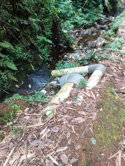 The image captures an outdoor scene featuring a small stream amidst dense vegetation, marred by discarded objects and trash. The setting appears to be a natural, overgrown area, consistent with the forested or heavily vegetated landscapes found near the Nebilver (Tegal) Admin Centre in Papua New Guinea.
In the foreground and midground, two large sections of light-colored pipes, possibly PVC or concrete, lie on the dirt-covered ground. One pipe is distinctly curved, while the other is a straighter piece, both showing signs of wear and breakage. The ground beneath and around these pipes is covered with dry fallen leaves, twigs, and bare earth, with patches of green moss on some raised areas.
To the left of the pipes, a dark, murky stream or puddle of water is visible, flowing through the undergrowth. The banks of this stream and the surrounding areas are densely populated with lush green vegetation, including ferns and various leafy plants, indicating a humid environment. Scattered around the pipes and along the stream bank are numerous pieces of trash and debris, including plastic items and other refuse, contributing to the visual impression of environmental pollution.
No people are present in the image, and no visible text can be deciphered. The lighting suggests it is daytime, likely either overcast or within a shaded part of the landscape, providing diffuse illumination. The overall scene highlights the issue of waste disposal in natural ecosystems within this region.