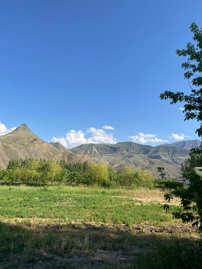 The image depicts a mountainous landscape under a clear blue sky with scattered white clouds. The foreground features a grassy field with some patches of dry earth and a dirt path. Lush green trees and bushes border the field on the left. In the background, a steep, green mountain range dominates the scene, its slopes showing textures of rock and vegetation. The orientation of the image is vertical, with the sky and mountains appearing on the left side and the field and path on the right, suggesting the photo was taken looking upwards from a lower vantage point or that the camera was tilted.

The sunlight suggests it is daytime, likely midday or early afternoon, given the brightness and shadows cast. The weather appears to be pleasant and clear, with the blue sky indicating good visibility. There are no people or specific objects visible in the scene, only natural elements of landscape. The activity depicted is passive observation of a natural vista. The location context of Gladzor, Armenia, implies a rural, mountainous region. No visible text is present in the image.