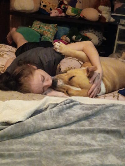 In Clarksville, Tennessee, a person and a dog are sleeping together on a bed. The person is lying on their side, with their head resting on their arm. The dog, a light brown and white pit bull, is lying next to the person, with its head resting on the person's chest. They are both covered with a grey blanket. The room is dimly lit, and there are stuffed animals on a shelf in the background.
