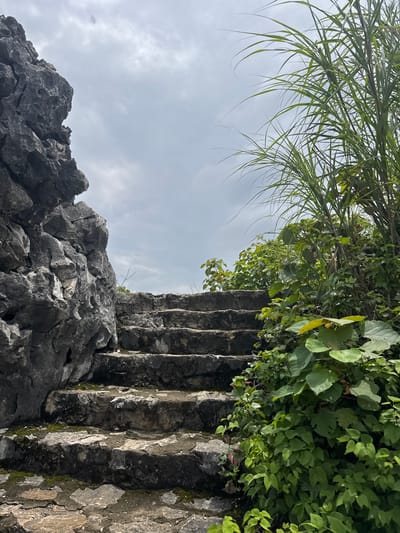 The image depicts a weathered stone staircase ascending a rocky incline, flanked by lush green vegetation on the right and a large, craggy rock formation on the left. The sky above is overcast with light clouds. The stairs appear old and possibly part of an ancient structure or natural path, with moss and dirt accumulated in the crevices. Tall, thin grasses sway in the foreground on the right. The scene suggests an outdoor, natural setting, possibly in a coastal area given the presence of rocks and hardy vegetation. It is implied this location is in Tam Thanh Ward, Vietnam. No people or animals are visible.