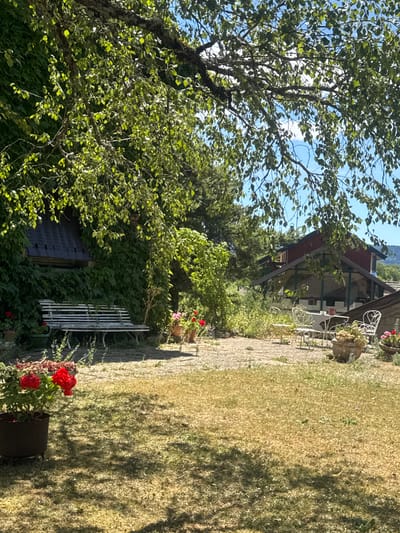 The image depicts a sun-drenched outdoor seating area in a garden setting. In the foreground, a black pot with vibrant red flowers sits on a dry, yellowing lawn, casting a dappled shadow. To the left, a white slatted bench is nestled against a wall covered in dense green ivy, with a dark-tiled structure partially visible above it.

Further back, a paved area features a table with chairs, some adorned with white wrought iron. Several potted plants are scattered around this area, some containing flowers. A rustic-looking building with a red roof and glass-enclosed sections is visible in the background, surrounded by trees and greenery. The sky is a clear blue with a few scattered white clouds. The overall impression is one of a tranquil, rural retreat, possibly a garden or terrace belonging to a house or restaurant. The location is identified as Coteaux du Lizon, France.