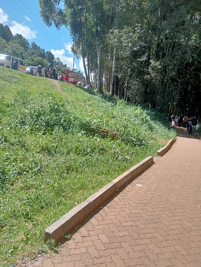 The scene depicts an outdoor environment in Waseges ward, Kenya, under a clear blue sky with scattered white clouds. In the foreground, a reddish-brown paved pathway, constructed of interlocking bricks in a herringbone pattern, extends from the lower right towards the middle distance. A concrete curb separates this path from a steep, green grassy slope covered with dense vegetation to the left. A dirt path runs diagonally up this slope. In the midground, on the upper portion of the grassy slope, a crowd of approximately 15-20 individuals is gathered near several vehicles, including at least two white vans/minibuses (one with a yellow stripe) and a light-colored truck with a covered bed. A utility pole with power lines is also visible in this area. To the right of the paved path, a dense stand of tall, slender trees forms a forested area. Another group of approximately 5-8 individuals is visible on a dirt path beneath these trees, walking away from the camera into the forested area. No specific interactions between individuals are clearly discernible.