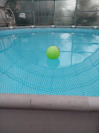 An overhead shot shows a bright green volleyball floating in the center of a blue tiled swimming pool. The pool is enclosed by a gray metal frame with plastic supports. In the background, a glass enclosure with a metal frame covers the pool, allowing light to filter through. The pool appears to be an outdoor, possibly residential, pool, potentially located in a rural setting like the Крупіцкі сельскі Савет, Belarus, given the lack of urban background elements. The scene is tranquil, with the water surface slightly rippled, indicating a calm environment.