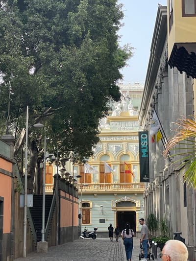 The image depicts a street scene in Santa Cruz de Tenerife, Spain, oriented sideways. The architecture is ornate, with a building identified by a sign as a museum ("Museo") dedicated to Fine Arts ("Bellas Artes") in Santa Cruz de Tenerife. The building has a light blue facade with beige trim, decorative statues on the roof, and flags hanging from the front. A large tree dominates the left side of the image, partially obscuring the building. A row of lampposts and wrought iron fences lines the street. Several people are walking on the sidewalk, including a man in a gray shirt and sunglasses, a person in a black dress and a white backpack. A parked motorcycle is visible on the right side of the street. The weather appears clear and sunny.