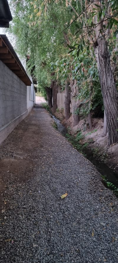 The image depicts a narrow, gravel-covered pathway running alongside a long, white brick building with a wooden-eaved roof on the left. The pathway is bordered on the right by a narrow, flowing irrigation ditch and a row of mature trees with textured bark and leafy green canopies. The trees are closely spaced, creating a natural wall along the ditch. The ground is covered with small, dark gray gravel, with scattered dry leaves. The overall scene suggests a rural or semi-urban environment, possibly a residential area or agricultural setting in Хаваскор, Tajikistan, characterized by its unpaved path, simple construction, and reliance on irrigation. The lighting suggests it is either early morning or late afternoon, with soft, diffused light. No people are visible in the image.