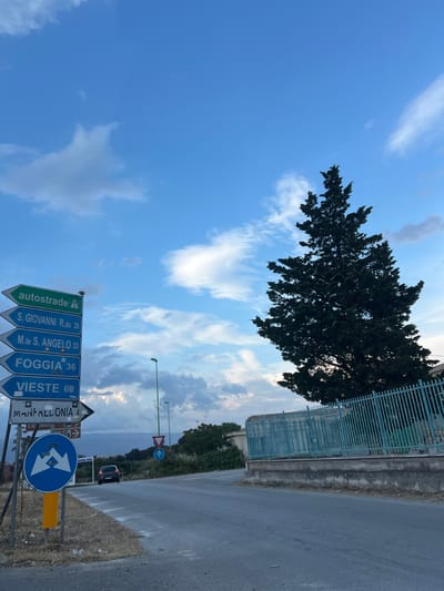 This is a photograph of a road junction in Manfredonia, Italy, on a day with a partly cloudy sky. A tall, dark green cypress tree dominates the right side of the frame, its branches reaching towards the sky. A light blue metal fence runs along the right edge of the road. A stack of blue and green directional road signs stands on the left, indicating directions and distances to various locations: "autostrade", "S. GIOVANNI R.do 28", "M.te S. ANGELO 33", "FOGGIA 36", "VIESTE 68", and "MANFREDONIA 4". Below these signs, a blue circular traffic sign with two white arrows pointing left and right indicates a two-way traffic lane. A dark colored car is visible driving away from the viewer on the road ahead, and a traffic light and a yield sign are visible further down the road. The ground on the left side of the road is dry and covered in scrub vegetation and litter, with a yellow post from the traffic signs protruding from the ground. In the distance, rolling hills are visible under the cloudy sky.