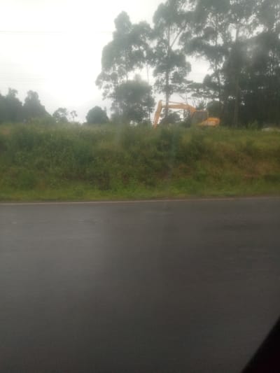 The image depicts an outdoor scene in Sigona ward, Kenya, characterized by an overcast sky. In the foreground, a dark grey asphalt road, appearing wet or damp, occupies the lower half of the frame. Immediately above the road, a green embankment covered with dense grass and shrubs rises. Positioned on top of this embankment, partially obscured by foliage, is a yellow excavator with its boom extended towards the left, appearing stationary. Behind the embankment and excavator, a dense line of tall, dark green trees extends across the background, with additional distant trees fading into a hazy, light grey sky. Faint utility lines are visible against the sky in the upper left. No individuals or active movements are present.