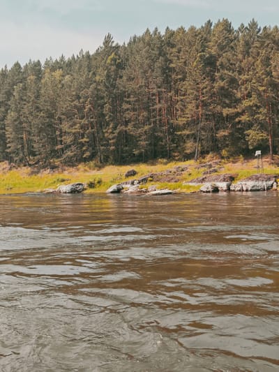 The image depicts a serene natural landscape along the bank of a wide, brown river. The river occupies the foreground, its surface rippled and reflecting the light. The middle ground features a rocky, vegetated shoreline with scattered boulders. Beyond the shoreline, a dense forest of coniferous trees stretches across the horizon. The sky above is overcast with a pale, muted hue. There are no people or animals visible in the scene. A solitary, dark, weathered wooden post with a small solar panel on top stands on a rocky outcrop to the right side of the image, a subtle indication of human presence or monitoring equipment in this otherwise untouched natural environment. The location is identified as Porog, Russia, suggesting this is a view of the river in or near that city.