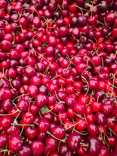 This is a close-up, overhead shot of a large pile of fresh, ripe cherries. The cherries are a deep red to purplish-red color, with some having a slightly lighter, brighter red hue. They are mostly round or heart-shaped, with the stems still attached to many of them, some of which are a light green color. The lighting suggests it could be daytime, but there are no specific cues for time of day or weather. The scene is a natural arrangement of fruit, likely a market stall or a home display given the abundance and arrangement. There is no visible text in the image. The overall impression is one of freshness and abundance. Given the location context of Beylikdüzü, Turkey, this could be a depiction of locally grown produce.
