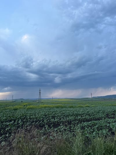 The image depicts a rural landscape in or near Jitnitsa, Bulgaria. A field of crops, mostly sunflowers and some weeds, occupies the right side of the frame. In the background, a low mountain range can be seen. Power lines and towers stretch across the field, disappearing into the distance. The sky dominates the left side of the image, filled with dramatic, layered clouds. The light suggests the scene is captured either in the early morning or late evening.