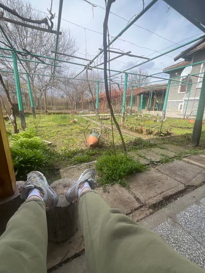 The image depicts a first-person, low-angle view looking out over a domestic garden in Blaskovo, Bulgaria. The lower half of an individual's legs are extended forward, clad in olive-green sweatpants, white ankle socks with a faint pattern, and light grey and beige athletic sneakers. The feet rest on a cylindrical wooden stump.

The immediate foreground consists of uneven concrete paving slabs with grass and small plants growing between them, transitioning to a grey speckled concrete surface on the right. The garden area features a grassy lawn interspersed with numerous yellow dandelions and various green plants, including a dense cluster of bright green foliage in the midground left. A terracotta-colored ceramic jug lies on its side in the grass, to the right of the central axis. An overhead structure of green-painted metal poles and horizontal bars forms a trellis or pergola, with bare vine tendrils woven across it.

In the background, two residential buildings are visible. To the right, a grey multi-story house features white-framed windows and a brown satellite dish mounted on its facade. To the left, a single-story building with a red tiled roof and a prominent green door is partially obscured. Beyond the garden and structures, a line of deciduous trees, currently bare of leaves, indicates a late winter or early spring season. The sky is partially cloudy.
